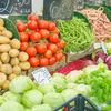 Food Industry Food Industry